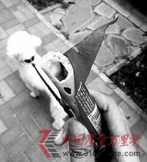 czһӣǿĵģcw߀3(g)С