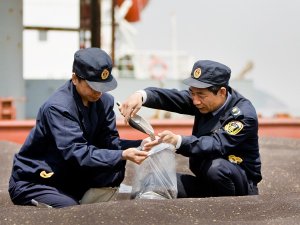 北侖口岸進口糧食數量創五年新高
