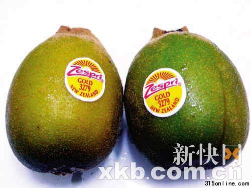 市面以進(jìn)口為主水果 新西蘭金奇果 市面以進(jìn)口為主水果 新西蘭金奇果