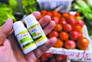蔬菜濫用催熟劑現(xiàn)象值得關(guān)注。這是記者在合肥農(nóng)資市場買到的“乙烯利”植物生長調(diào)節(jié)劑(7月17日攝)。新華社 發(fā) 蔬菜濫用催熟劑現(xiàn)象值得關(guān)注。這是記者在合肥農(nóng)資市場買到的“乙烯利”植物生長調(diào)節(jié)劑(7月17日攝)。新華社 發(fā)