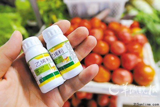 “乙烯利”植物生長調節(jié)劑可在農資市場隨便買到 新華社 發(fā)