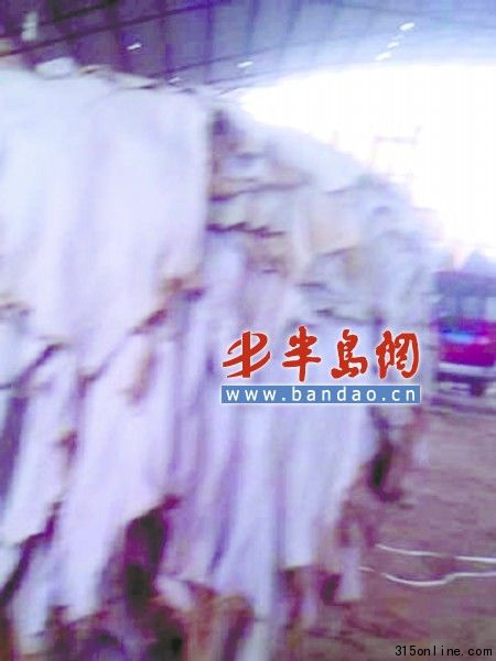 皮革廠 資料圖