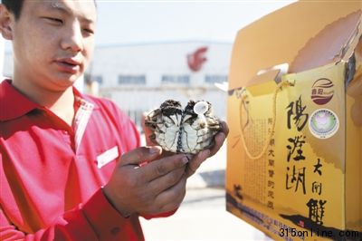 9月17日,首都機(jī)場貨運(yùn)站,工作人員在檢查空運(yùn)來的首批陽澄湖大閘蟹。當(dāng)日,剛剛開始捕撈的陽澄湖大閘蟹空運(yùn)到北京。 9月17日,首都機(jī)場貨運(yùn)站,工作人員在檢查空運(yùn)來的首批陽澄湖大閘蟹。當(dāng)日,剛剛開始捕撈的陽澄湖大閘蟹空運(yùn)到北京。