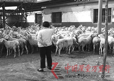 ⾫F(xin)ɽ|һ(zhn) zyڈ(zh)(yn)