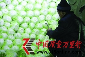媒體稱噴甲醛保鮮大白菜成潛規(guī)則 市場(chǎng)不檢測(cè)