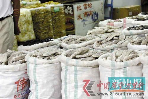 ■一德路海產(chǎn)品市場上售賣的海參。新快報(bào)記者畢志毅/攝 ■一德路海產(chǎn)品市場上售賣的海參。新快報(bào)記者畢志毅/攝