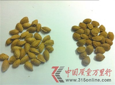 揭秘“美國大杏仁”：扁桃仁冒名杏仁數十載