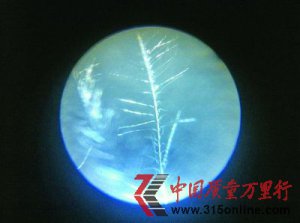揭羽絨制品內幕:幾塊錢飛絲冒充幾百塊鵝絨